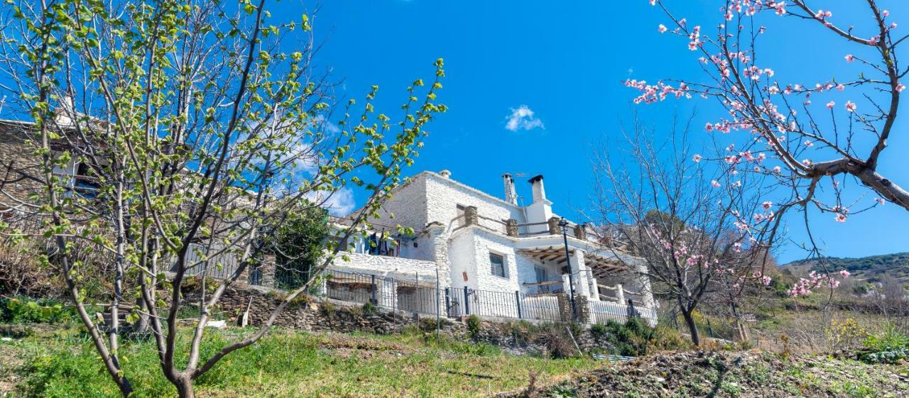 El Rincon * Capileira